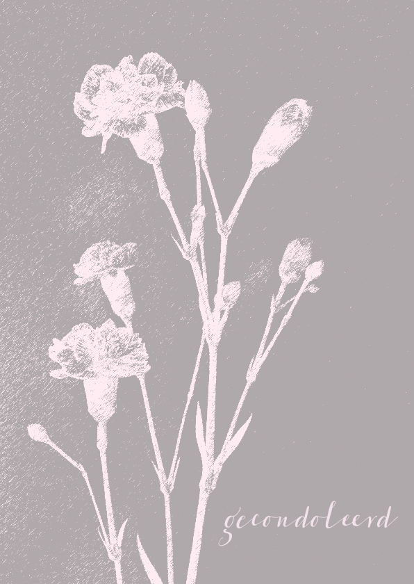 Renate Daniels