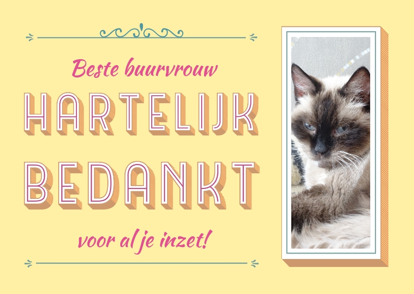 mijn