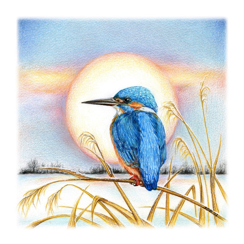 Rianne Brugmans van Breugel illustraties