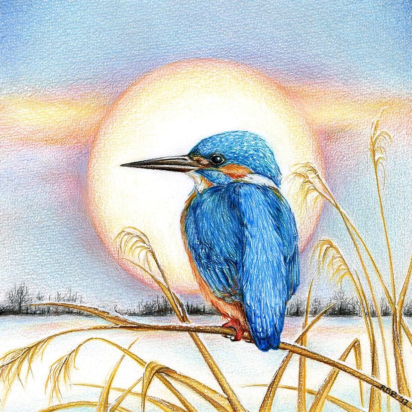 Rianne Brugmans van Breugel illustraties