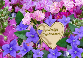 mooie verjaardagskaart roze en blauwe kaartje2go