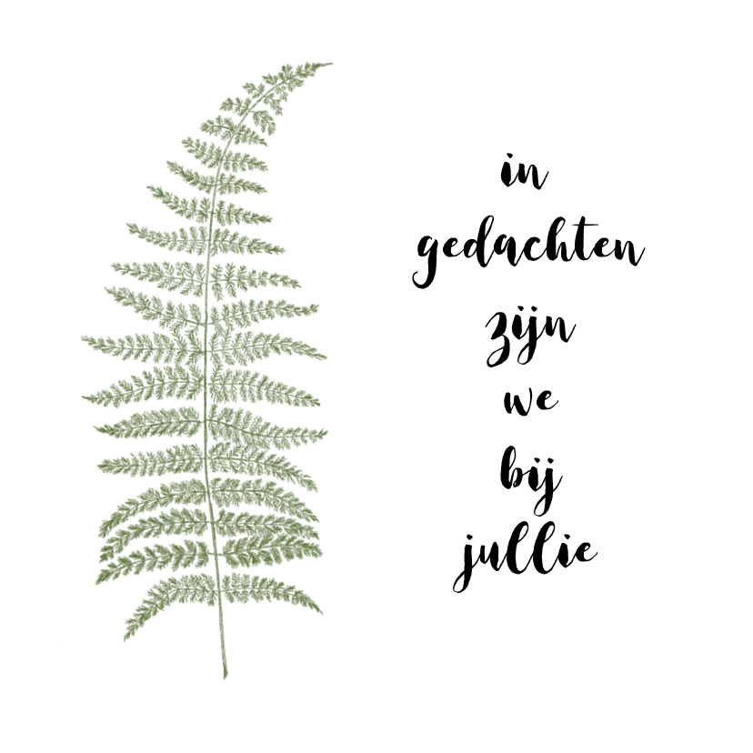 Panache illustrations