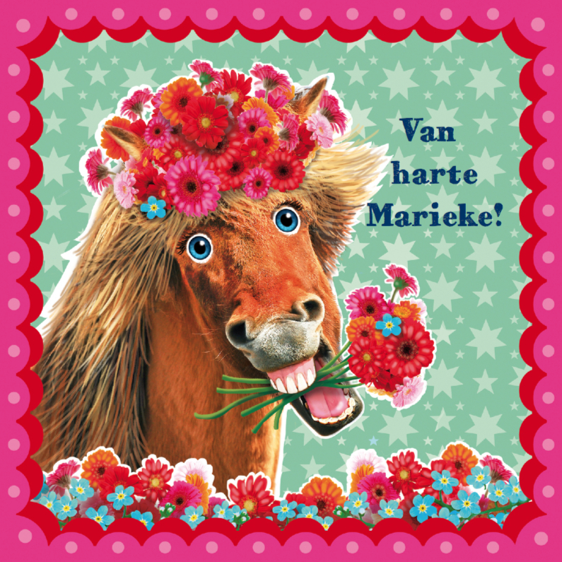 Eefje Kuijl